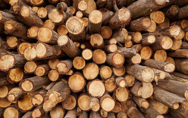 Влажность пиломатериалов